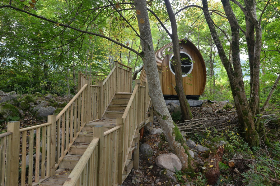 cabane dans les arbres